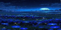 Miniature du serveur Claire de lune