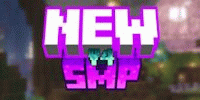 Miniature du serveur NewSMP