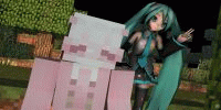 Miniature du serveur CraftyNet