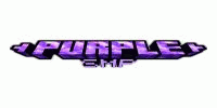Miniature du serveur PurpleSMP