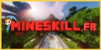 Miniature du serveur Mineskill.fr