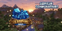 Miniature du serveur Saphir SMP