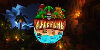 Miniature du serveur Black Flag - Semi RP