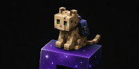 Miniature du serveur Galaxy