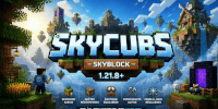 Miniature du serveur SkyCubs