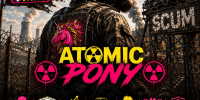 Miniature du serveur Atomic pony
