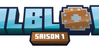 Miniature du serveur Valblock