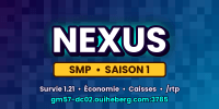 Miniature du serveur Nexus SMP