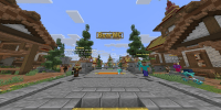Miniature du serveur BearMC