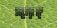 Miniature du serveur Salvia RP
