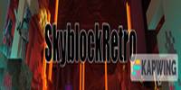 Miniature du serveur SkyblockRetro
