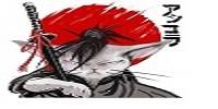 Miniature du serveur Raid Twitch VIP