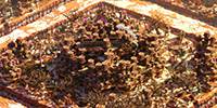 Miniature du serveur KataliaMC Serveur 100% Farm2Win 1.8+