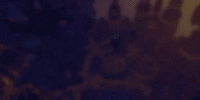 Miniature du serveur Battle Adventure | Le Seul PvP/Faction Farm2Win | SAISON 10 - 20/06