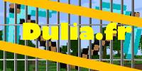 Miniature du serveur DULIA [1.8-1.15] SERVEUR PRISON | 100% FARM TO WIN