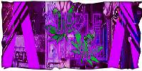 Miniature du serveur PurpleDream
