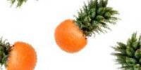 Miniature du serveur Fruitz