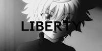 Miniature du serveur LIBERTY