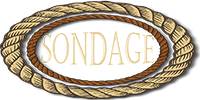 Miniature du serveur SONDAGE