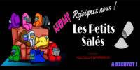 Miniature du serveur Les Petits Salés - Among Us FR