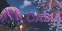 Miniature du serveur Casia