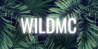 Miniature du serveur WildMC
