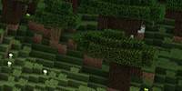 Miniature du serveur kilo_city
