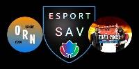 Miniature du serveur Zozo2003 - YouTube (SAV Esport)