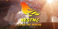 Miniature du serveur NestMC