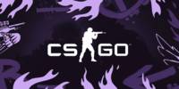Miniature du serveur Team FR CsGo