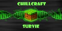 Miniature du serveur ChillCraft