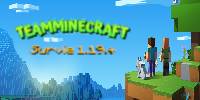 Miniature du serveur TeamMinecraft