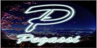 Miniature du serveur Pegassi V2