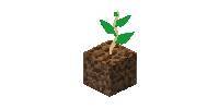 Miniature du serveur Gulban
