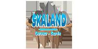 Miniature du serveur Skaland