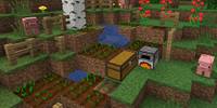 Miniature du serveur CuteCube