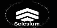 Miniature du serveur selesium