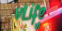 Miniature du serveur vLife RP || Nouveau Serveur || Gamemode & Scripts unique || Double Job