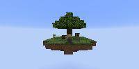 Miniature du serveur MiniSky