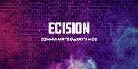 Miniature du serveur Ecision Rp