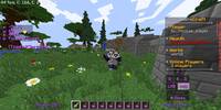 Miniature du serveur ZebreCraft
