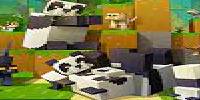 Miniature du serveur play and tchill