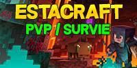 Miniature du serveur ESTACRAFT