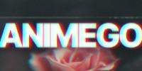 Miniature du serveur Animego