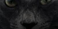 Miniature du serveur BANZAY_TV