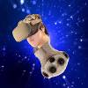 Miniature du serveur JBSAN et SURICATE