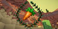 Miniature du serveur Age Of Wild