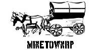 Miniature du serveur MineTownRP