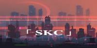 Miniature du serveur SKimerChill SKC