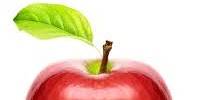 Miniature du serveur Apple'Discord